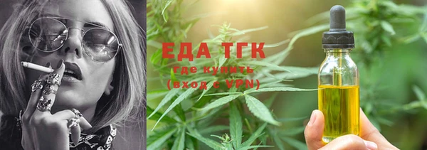 индика Россошь