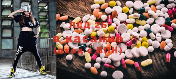 стаф Ростов